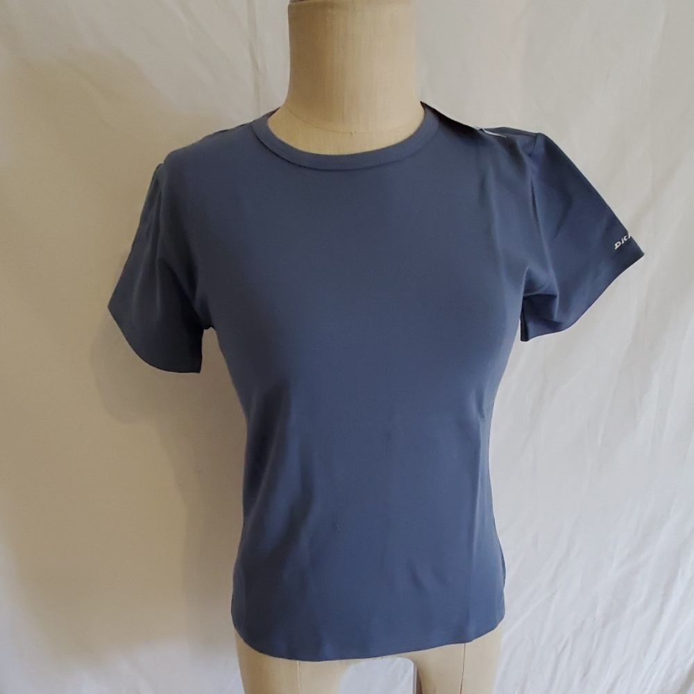 Dickies Short sleeve tee 11009 (Aspen Blue)